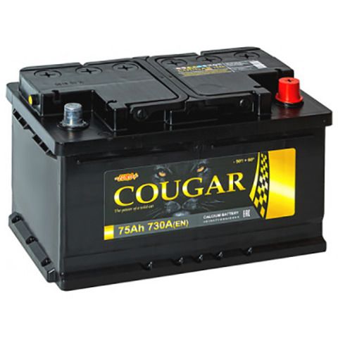 Аккумулятор COUGAR 75А/ч EURO LB Ca/Ca ток 730А низкий о/п АККОМ РОССИЯ