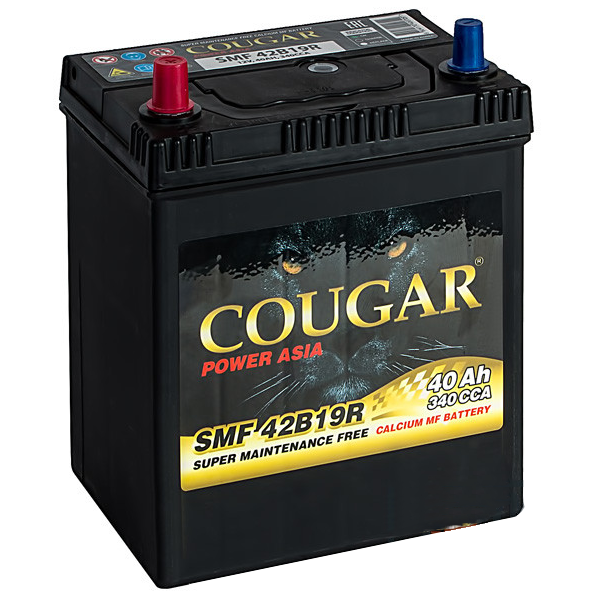 Аккумулятор COUGAR ASIA 40 А/ч SMF 42B19R п.п. тонк. кл. ток 340А